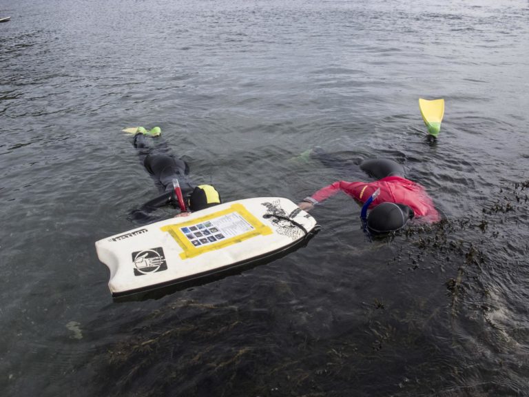 Snorkel Participants
